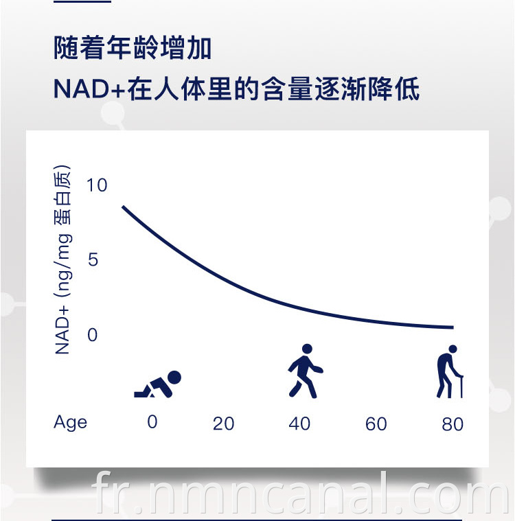 Health Promotion NMN OEM Capsule